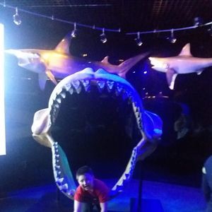 Meet your Posher, Malinda